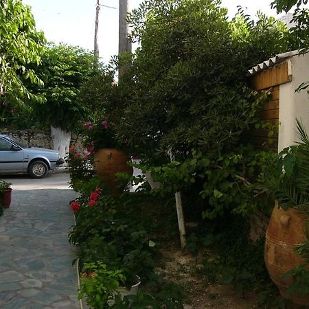 Oasis Studios باليوخورا المظهر الخارجي الصورة