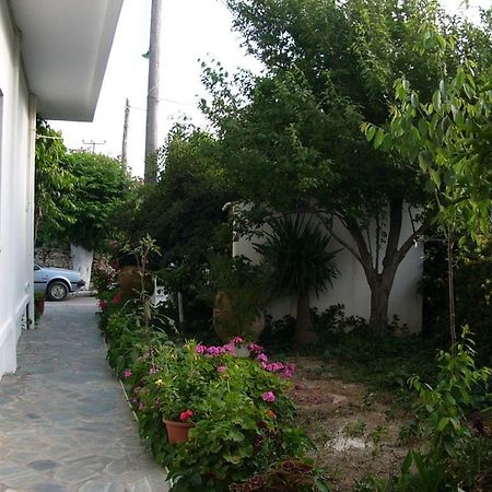 Oasis Studios باليوخورا المظهر الخارجي الصورة